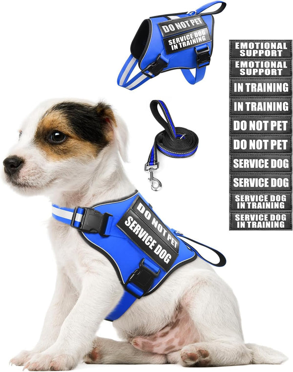 Service Dog Vest Harness and Leash Set+10 Patches,No Pull&Adjustable Reflective Dog Harness with Soft Padded Handle for Training/Everyday,Fit Small/Medium/Large/Extra-Large Dogs(Red XL) | No Pull&Adjustable Reflective Service Dog Harness Large Sized,Dog Leash with 2 Soft Padded Handles,For Training Working19