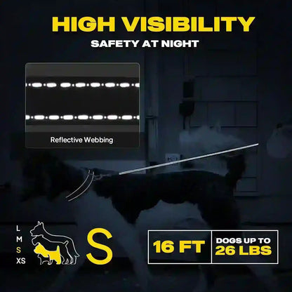 Reflective dog leash for night safety, 16 ft long, fits dogs up to 26 lbs, high visibility webbing6