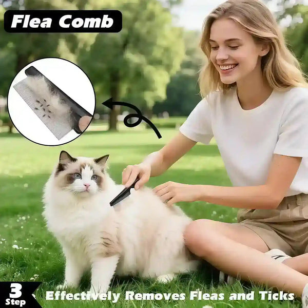 Woman grooming fluffy cat outdoors with flea comb to remove fleas and ticks, pet grooming tool6