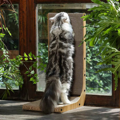 Fluffy gray cat stretching on a wooden cat scratcher near a sunny window with green plants6