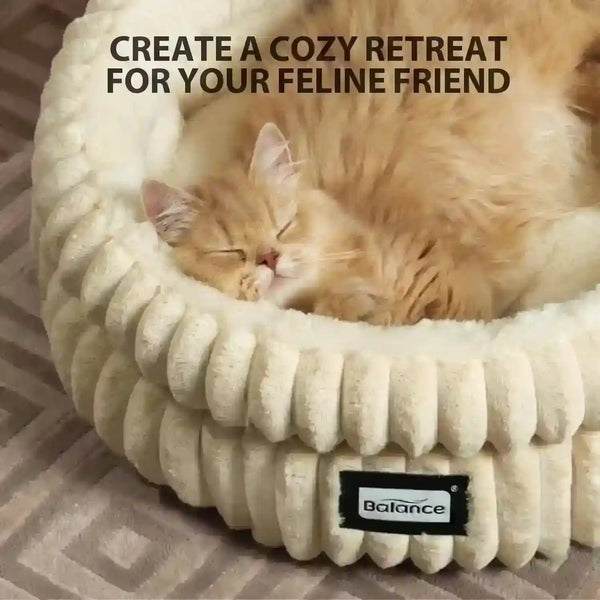 Fluffy orange cat sleeping in cozy cream pet bed, perfect for feline comfort and relaxation.6