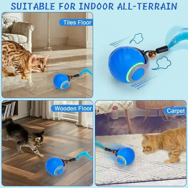 Interactive cat toy ball for indoor play on tiles, wood, and carpet floors6