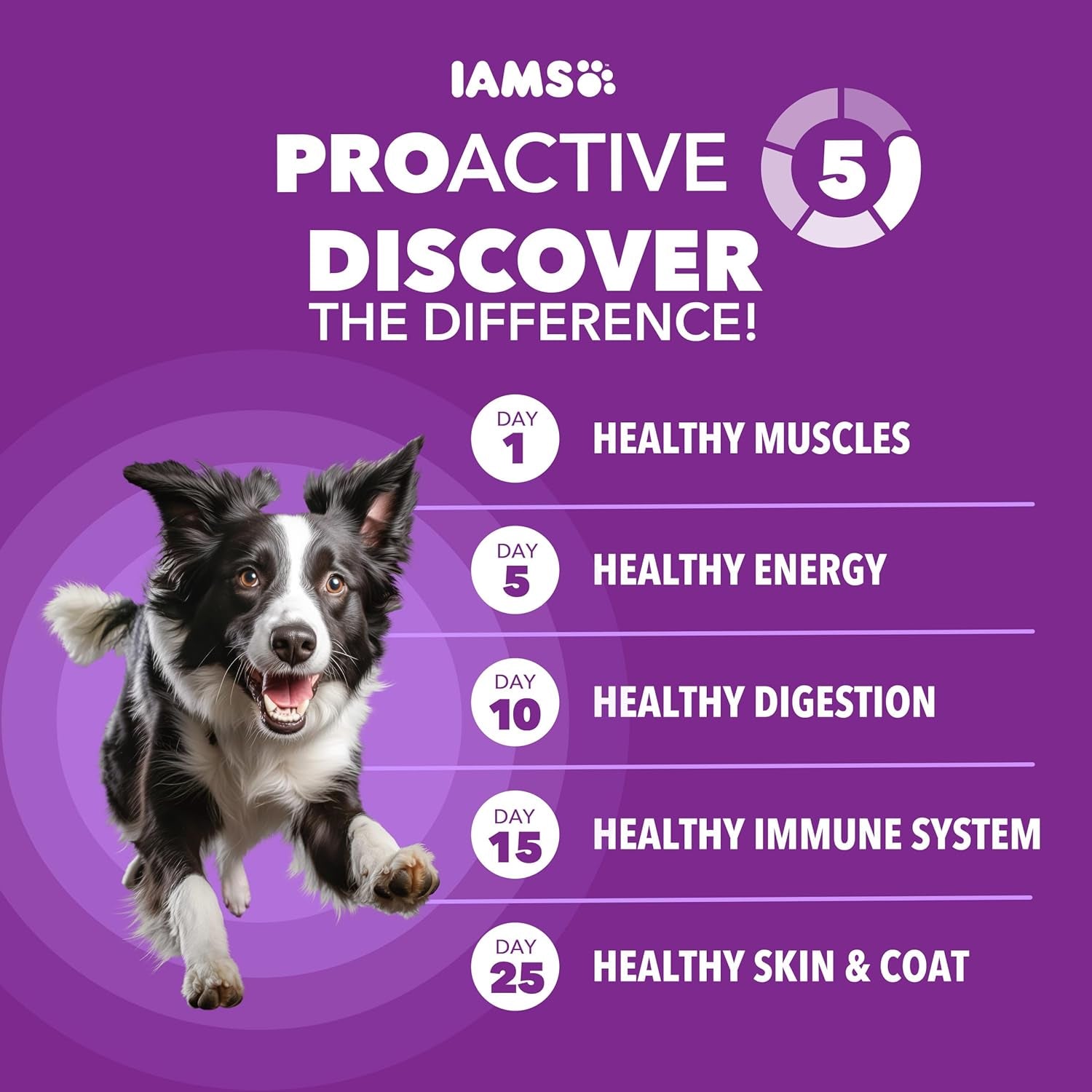 iams-advanced-health-healthy-digestion-dry-dog-food-chicken-13-5-lb-real-farm-raised-chicken-1-ingredient-0-fillers-natural-fiber-prebiotics-supports-digestive-health