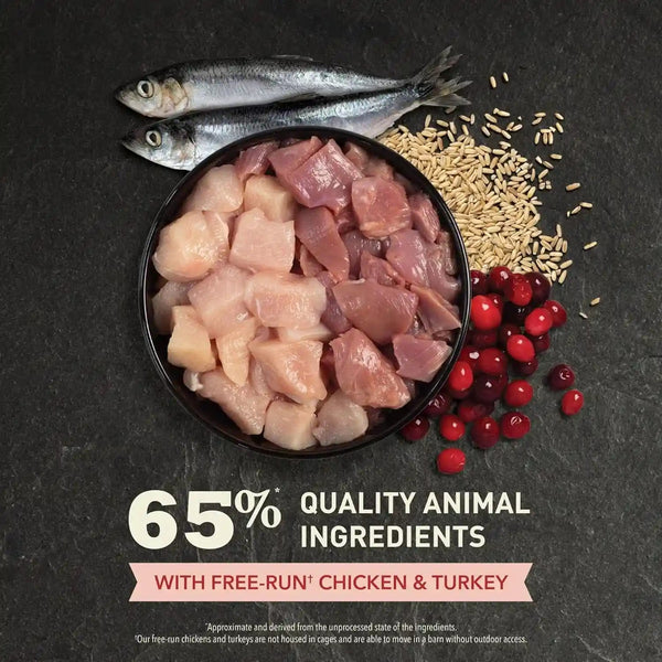 ACANA Dry Cat Food for Indoor Cats Indoor Entrée Chicken Turkey, 4Lb Bag | Includes Probiotics, Digestive Health, Weight Management, Free-Run Poultry, World'S Finest Ingredients4