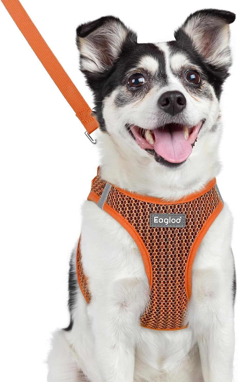 eagloo-small-dog-harness-and-leash-set-step-in-small-sized-puppy-pet-vest-light-soft-breathable-air-mesh-easy-on-and-off-with-hook-loop-reflective-for-safe-walking-pink-s
