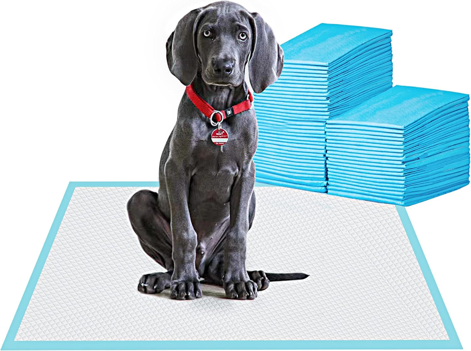 bestle-large-pet-training-and-puppy-pads-pee-pad-for-dogs-24x24-80-count-super-absorbent-leak-proof