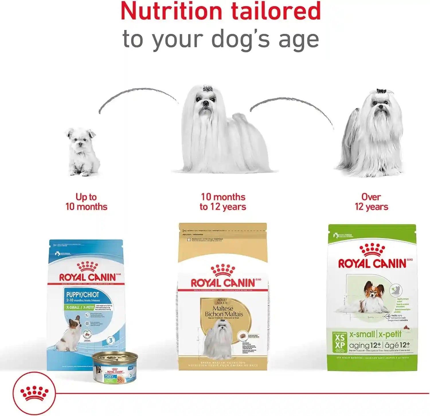 royal-canin-breed-health-nutrition-maltese-adult-dry-dog-food-2-5-lb-bag