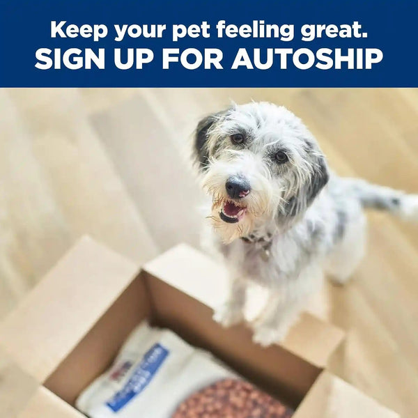 HILL'S PRESCRIPTION DIET I/D Low Fat Digestive Care Wet Dog Food | #1 Veterinarian Recommended, Chicken Recipe, 13 Oz. Cans, 12-Pack13