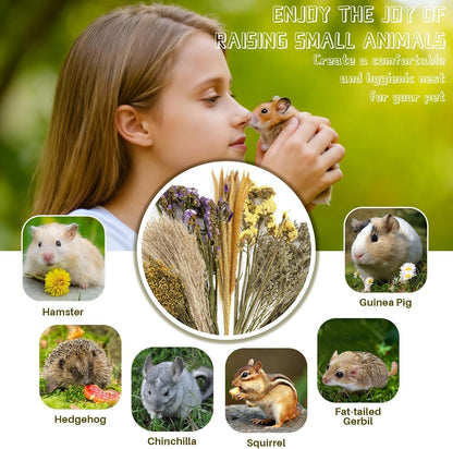 Sukh 47 Pcs Hamster Sprays - Natural Dried Flower and Herb Forage Mix | Sprays for Hamster Cage Accessories, Habitat Decor & Enrichment for Syrian Dwarf Hamsters, Gerbils, Guinea Pigs, Small Pets6