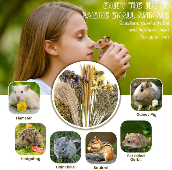 Sukh 47 Pcs Hamster Sprays - Natural Dried Flower and Herb Forage Mix | Sprays for Hamster Cage Accessories, Habitat Decor & Enrichment for Syrian Dwarf Hamsters, Gerbils, Guinea Pigs, Small Pets6