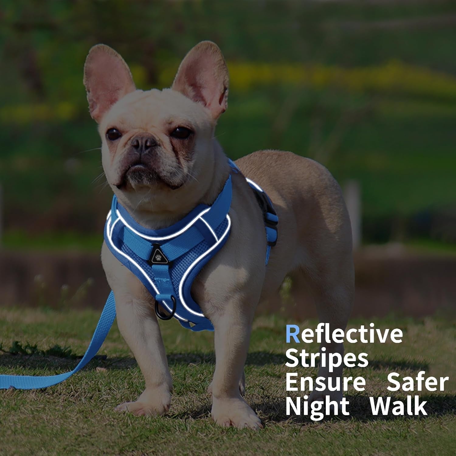 no-pull-dog-harness-with-leash-set-for-small-sized-dog-reflective-adjustable-no-choke-front-clip-cat-vest-harness-with-breathable-mesh-comfortable-soft-padded-pet-vest-blue-m