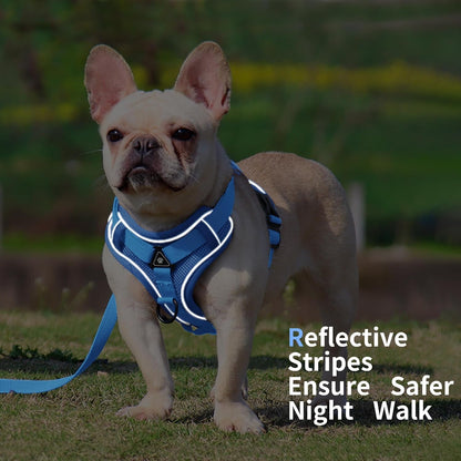 No Pull Dog Harness with Leash Set for Small Sized Dog, Reflective Adjustable No Choke Front Clip Cat Vest Harness with Breathable Mesh, Comfortable Soft Padded Pet Vest, Blue M5