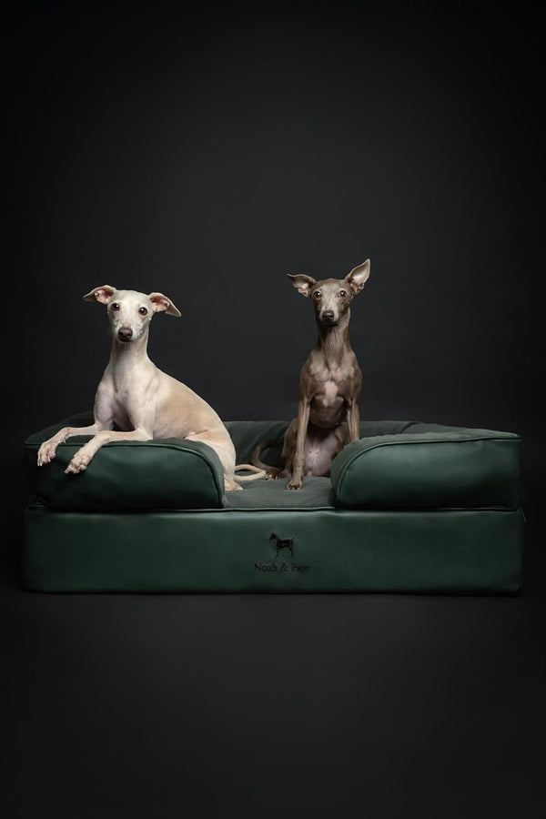 NOAH & PAW Large Dog Bed, 35X25X11 Inch, Orthopedic Dog Beds, Eggshell Memory Foam Infused with Cooling Gel, Inner Cover, Water Resistant, Machine Washable (Faux Leather)3