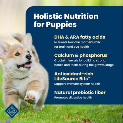 Blue Buffalo Life Protection Formula Chicken Puppy Dry Dog Food, 5 Lb | with DHA for Brain Development, Real Chicken #1 Ingredient, Antioxidant-Rich Lifesource Bits, Promotes Healthy Muscle Growth3