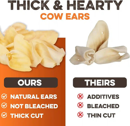 BRUTUS & BARNABY Cow Ears for Dogs – Whole Ears 12 Ct, Thick Cut, Grass-Fed Angus Beef, All-Natural No-Rawhide Dog Treat Alternative4