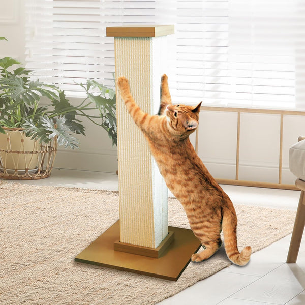 Smartcat Pioneer Pet Ultimate Scratching Post (Beige)4