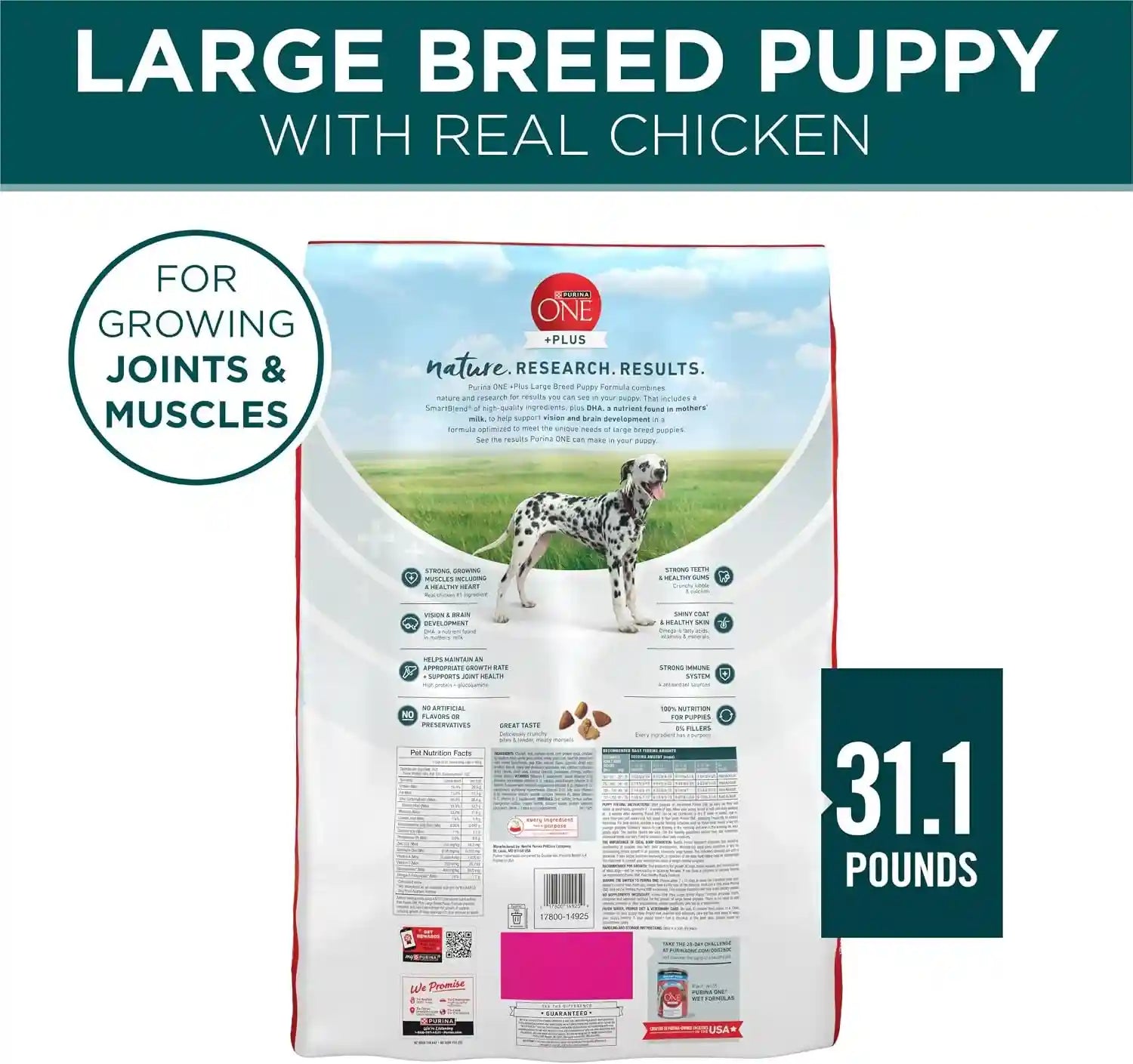 purina-one-plus-puppy-dry-dog-food-for-large-dogs-high-protein-growth-support-real-chicken-31-1-lb-bag