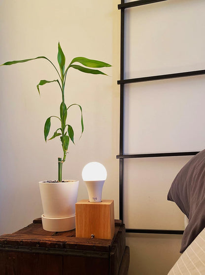 Bundle - Shadeless Lamp and Circadian Sunrise Simulation Smart LED Light Bulb7