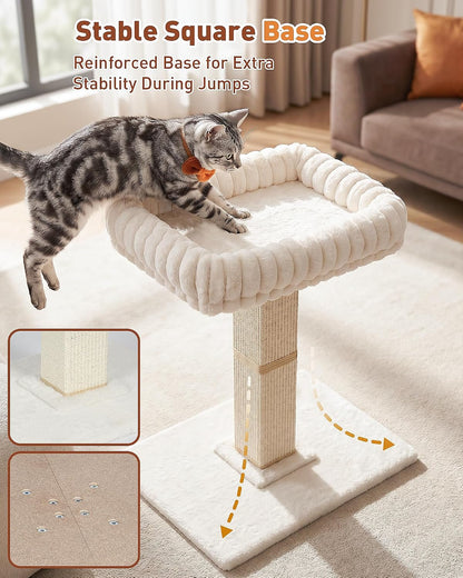 Morden Cat Scratching Post with Top Plush Bed for Indoor Cats | Removable & Washable Perch, Small Morden Cat Tree, Cat Tower with Scratch Post, Natural Sisal, White4