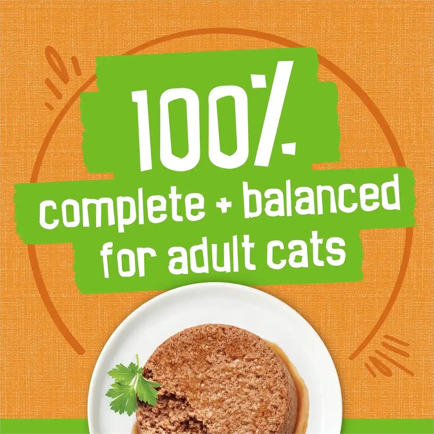 purina-friskies-wet-cat-food-pate-liver-and-chicken-dinner-pack-of-24-5-5-oz-cans