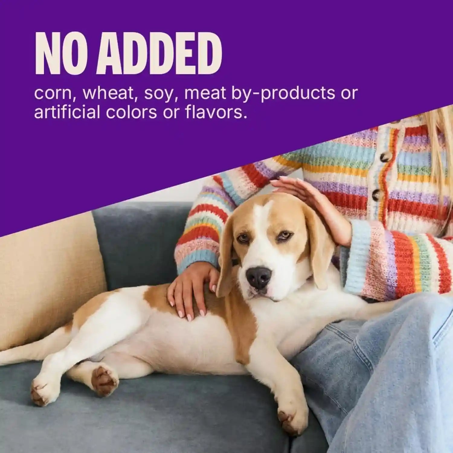wellness-soft-puppy-bites-dog-training-treats-natural-grain-free-lamb-and-salmon-recipe-8-oz-bag