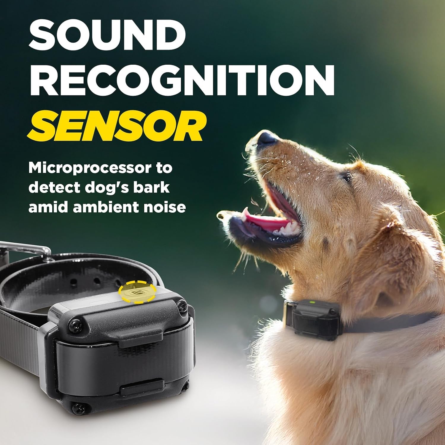 dogtra-iq-vibe-vibration-only-no-bark-collar-4x-stronger-hpp-vibration-ipx9k-waterproof-precision-sensor-rechargeable