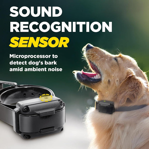 Dogtra Iq Vibe Vibration Only No Bark Collar: 4X Stronger HPP Vibration, IPX9K Waterproof, Precision Sensor, Rechargeable4