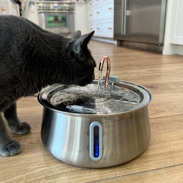 Kittyspout Stainless Steel Cat Water Fountain Automatic Drinking Fountain, Quiet Circulating Water Bowl, Dishwasher Safe, Indoor Pet Fountain for Hydrated Healthy Cats (Stainless Steel, 4L Corded)9