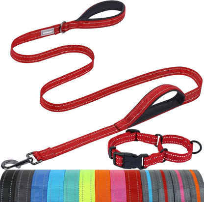 VIVAGLORY Double Handle Dog Leash Twingrip, 6Ft X 1In, Navy | Dog Leash for Collar with Traffic Handle & 2 Loop for Walking & Training, Traffic Control Reflective Heavy Duty Puppy Pet15