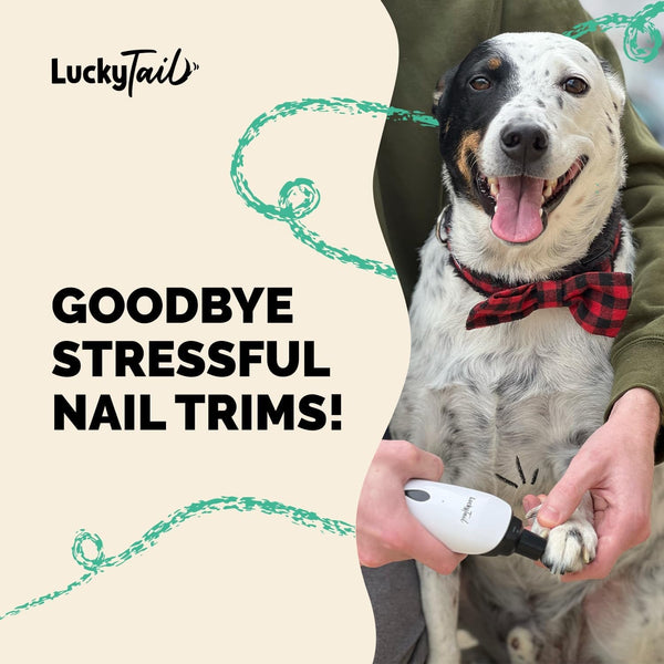 Luckytail Pet Nail Grinder for Dogs and Cats - Super Quiet and Low Vibration Electric Dog Nail Grinder with 2 LED Lights - USB Rechargeable and Cordless - 2 Speeds - Small to Large Pets8