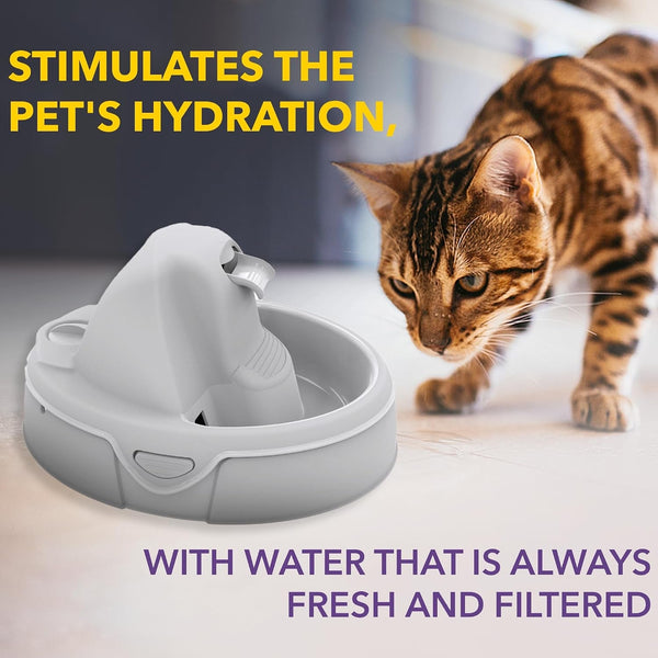 Aqua Flow Premium Pet Water Fountain - Automatic Dispenser Drinking Bowl for Cats and Dogs - Anti-Hair Drainage System - Replaceable Filters - Ideal for Multiple Pets - 52 up to 120 Fl Oz - Gray4