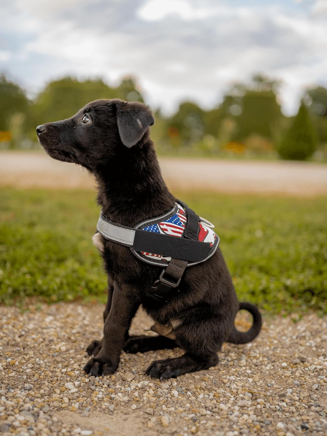 doggykingdom-no-choke-dog-harness-with-handle-and-patch-panels-adjustable-reflective-dog-vest-for-small-sized-dog-blue-s