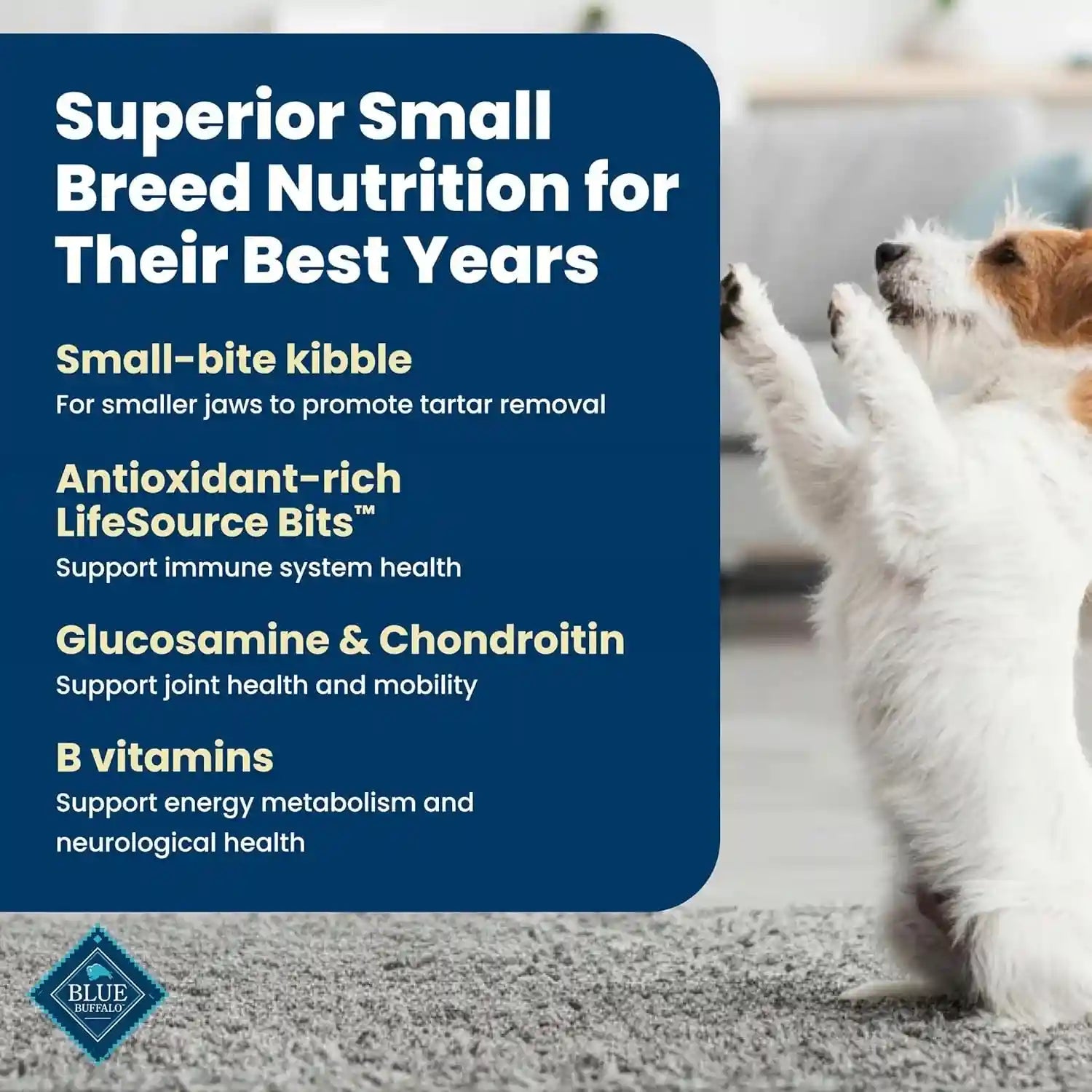 blue-buffalo-life-protection-formula-chicken-small-senior-dog-food-5-lb-real-chicken-1-ingredient-glucosamine-chondroitin-for-joint-health-mobility-antioxidant-rich-lifesource-bits