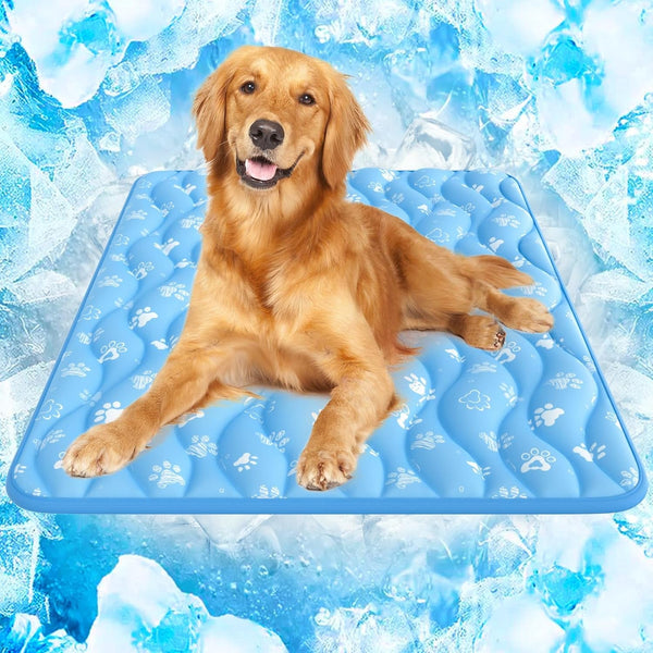 Rywell Super-Absorbent Cooling Mat for Dogs 44"X32" Arc-Chill 3.0 & Color-Changing Dog Cooling Mat, Stay Cool & Dry, Washable, Non-Slip Pet Bed Mat for Floors, Sofas, Kennels1