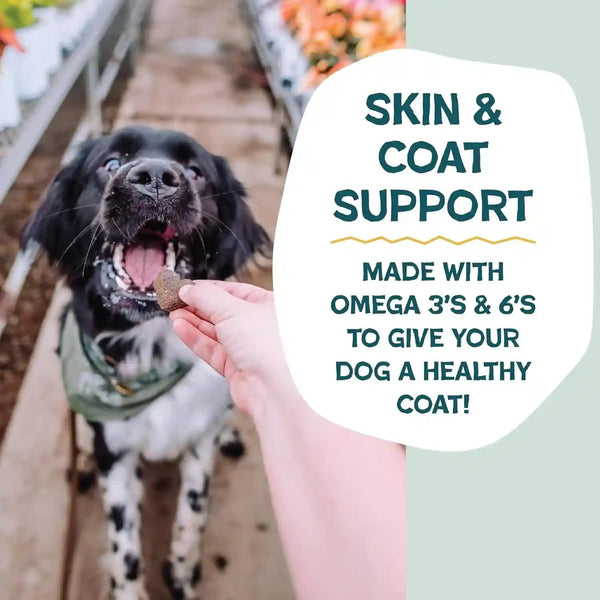 Shameless Pets Soft-Baked Dog Treats, Bananas for Bacon | Healthy Treats for Small, Medium & Large Dogs | Skin & Coat Support with Omega-3 & Omega-6 | Grain-Free, Made in USA | 6 Oz4