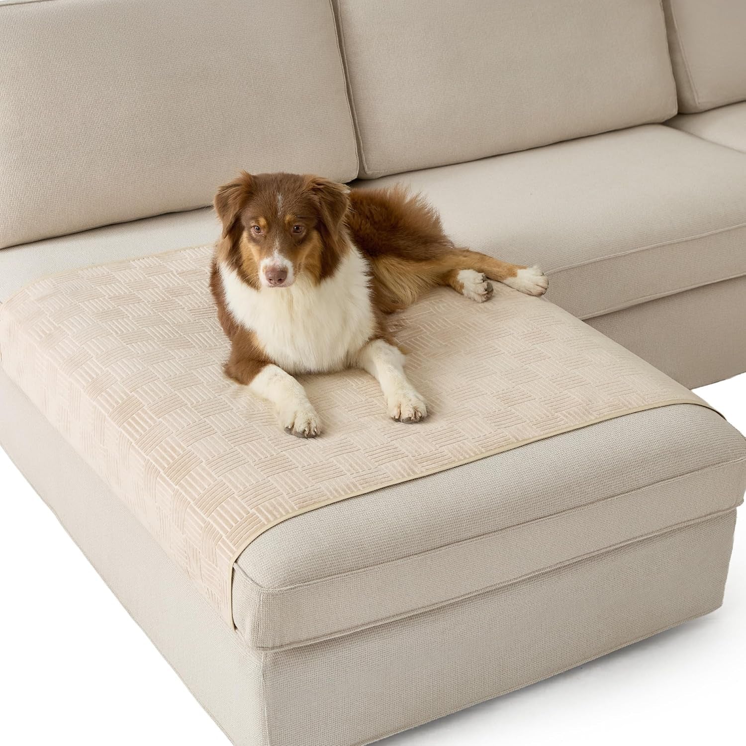 bedsure-waterproof-couch-cover-for-dogs-washable-waterproof-blanket-for-large-dogs-couch-sofa-bed-cozy-lightweight-furniture-protector-for-pet-cat-quick-drying-ash-grey-52x82in