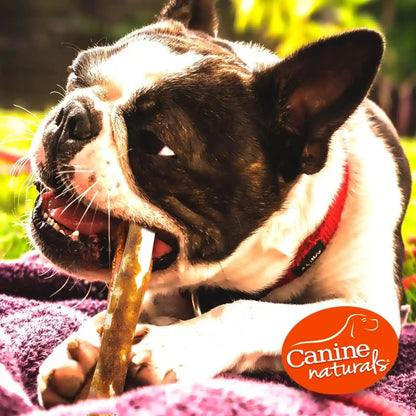 Canine Naturals Rawhide Free Peanut Butter Dog Chews, Sticks, 40 Count | 100% Rawhide Free, Made with Real Peanut Butter, All-Natural, Easily Digestible, 5 in Sticks, Dog Treats, Bulk Value Pack6