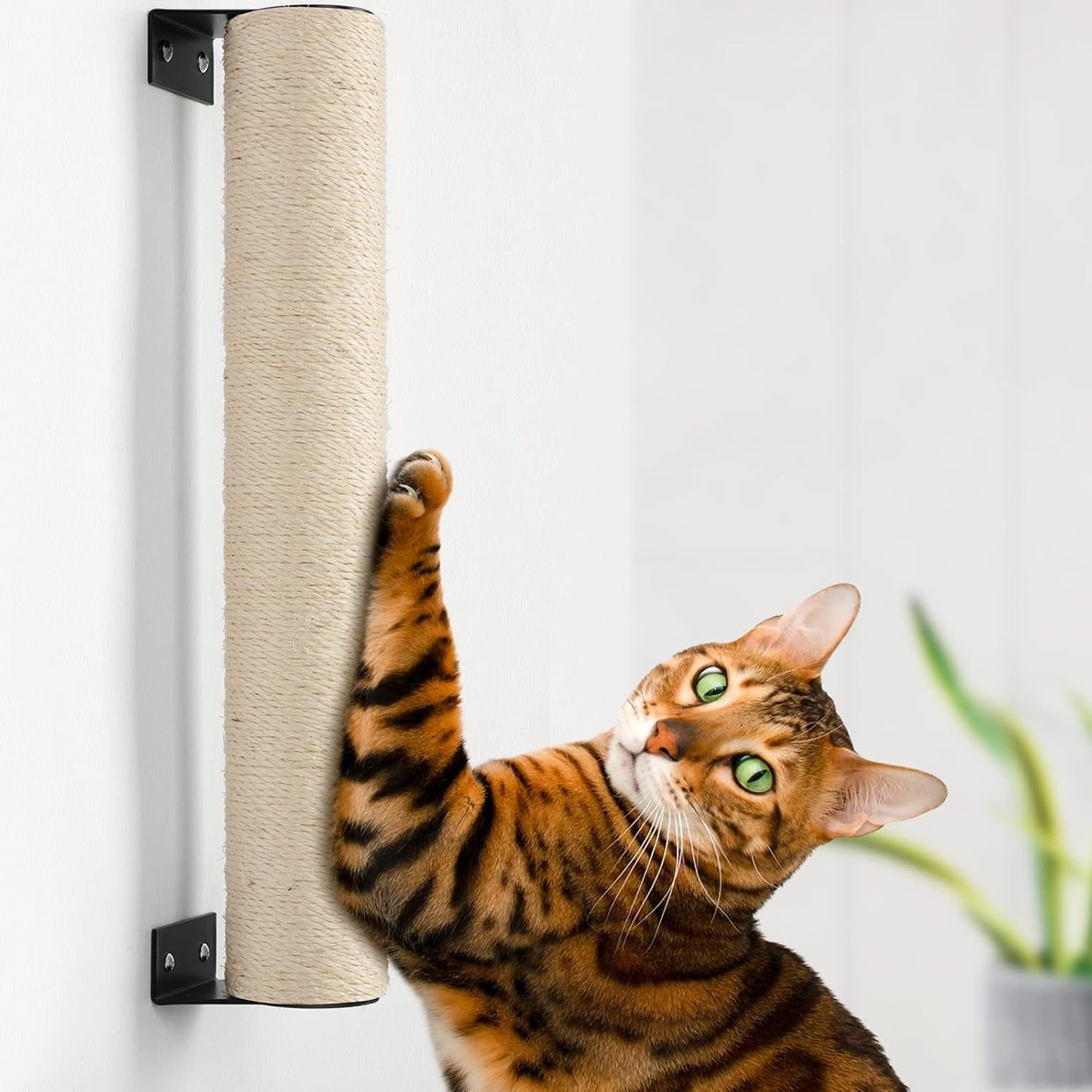 bebobly-wall-mounted-cat-scratching-post-for-indoor-cats-kitten-wall-shelves-climbing-furniture-sisal-rope-cat-claw-scratcher-tree-solid-wooden-walkway-for-cage-mounted-climbing-relaxing