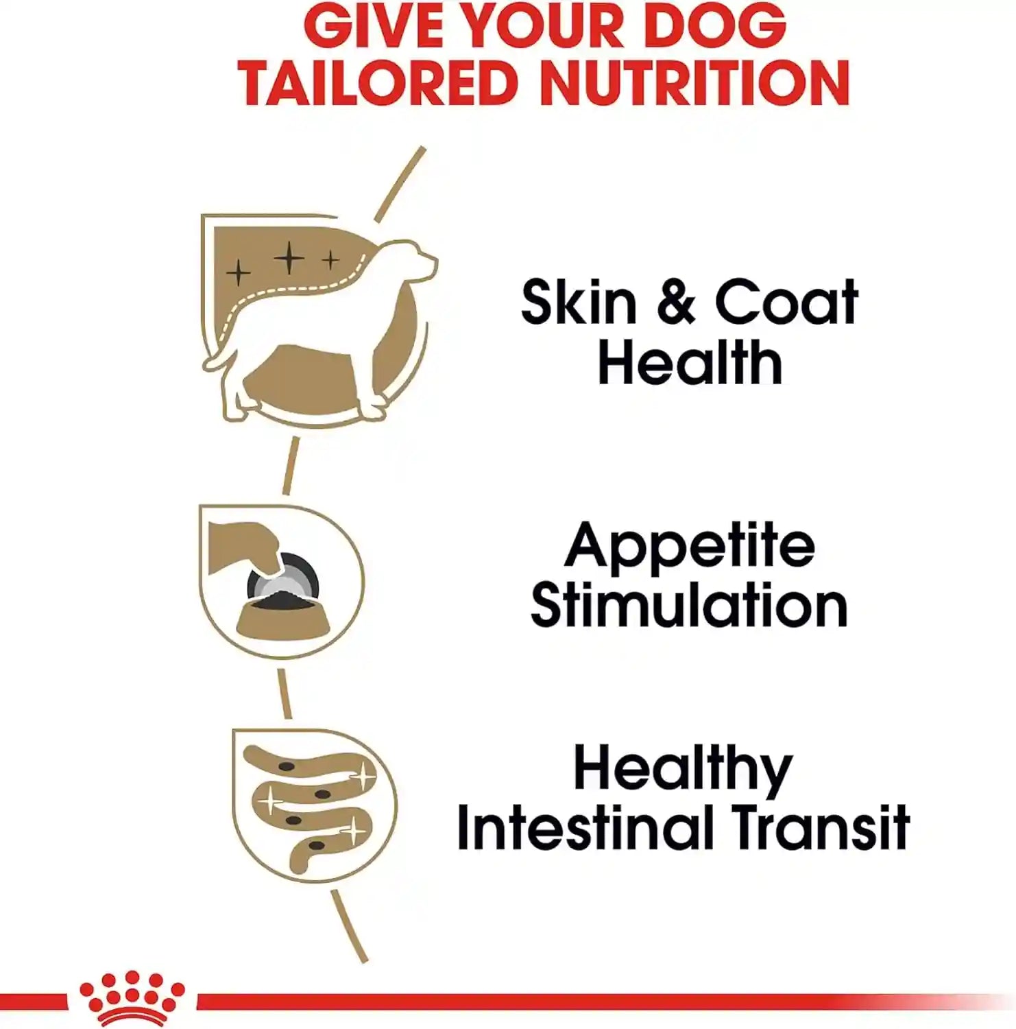 royal-canin-breed-health-nutrition-yorkshire-terrier-adult-loaf-in-sauce-dog-food-3-oz-pack-of-6