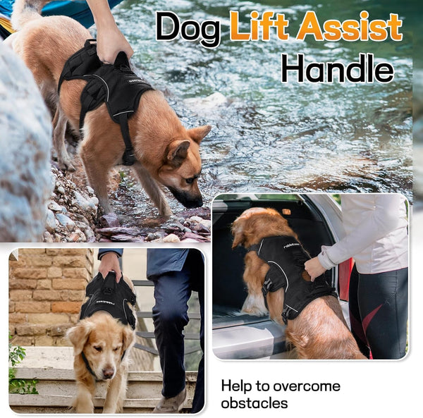 Rabbitgoo Escape Proof Dog Harness for Large, No Pull with Lift Handle | No Escape, Full Soft Padded, Reflective Adjustable Vest, Leash Clip for Walking Hiking Training, Black, Large3