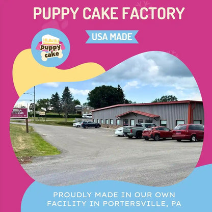 Cuppy Cake Microwave Dog Birthday Cake in a Cup - Ready in 2 Min, Just Add Water and Microwave, All Natural, Pupfetti Sprinkles, Made in USA (Woman Owned)9