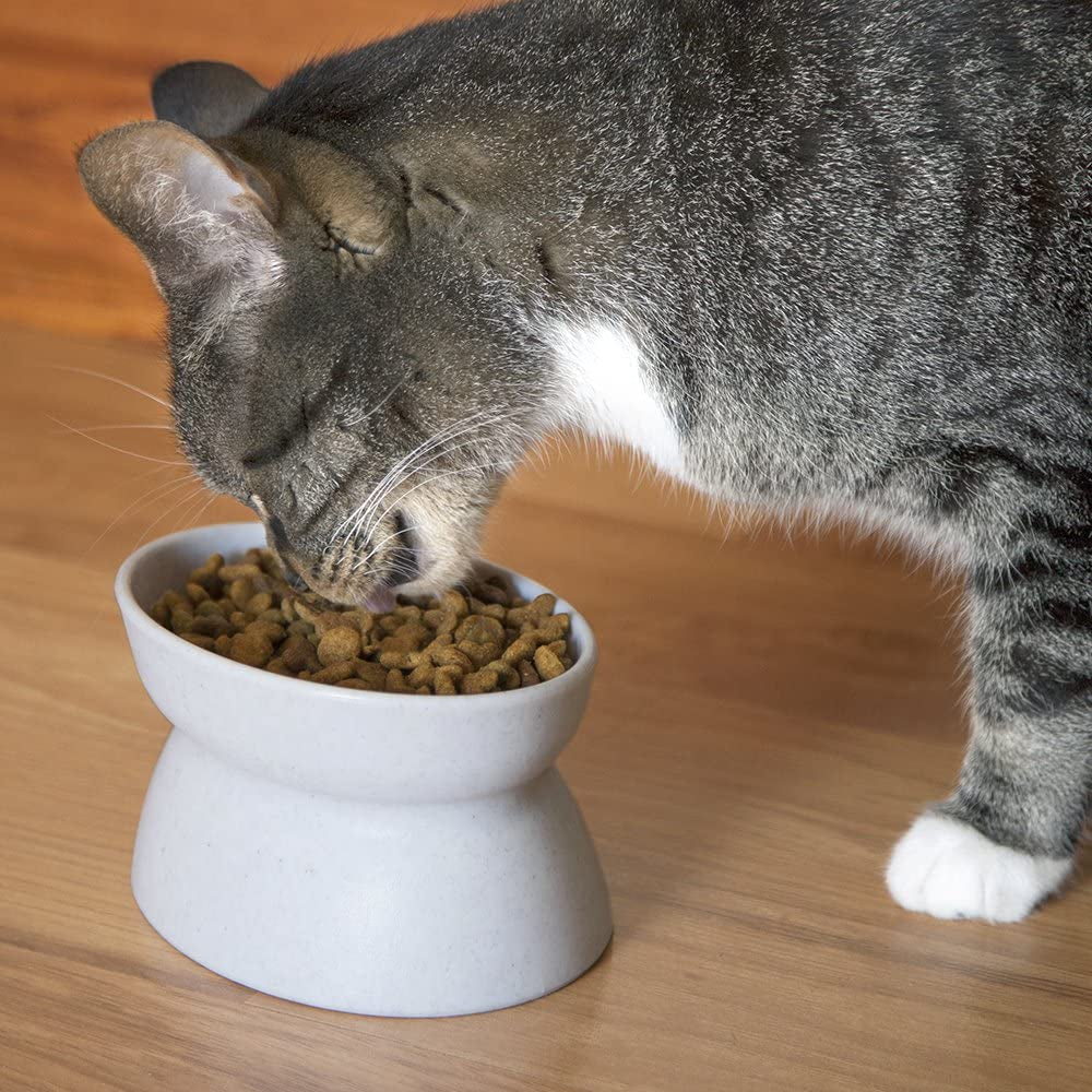 kitty-city-elevated-cat-bowls-set-of-2-whisker-friendly-raised-cat-food-water-dishes-modern-pedestal-design-dishwasher-safe-6-5-oz-each-white-gray