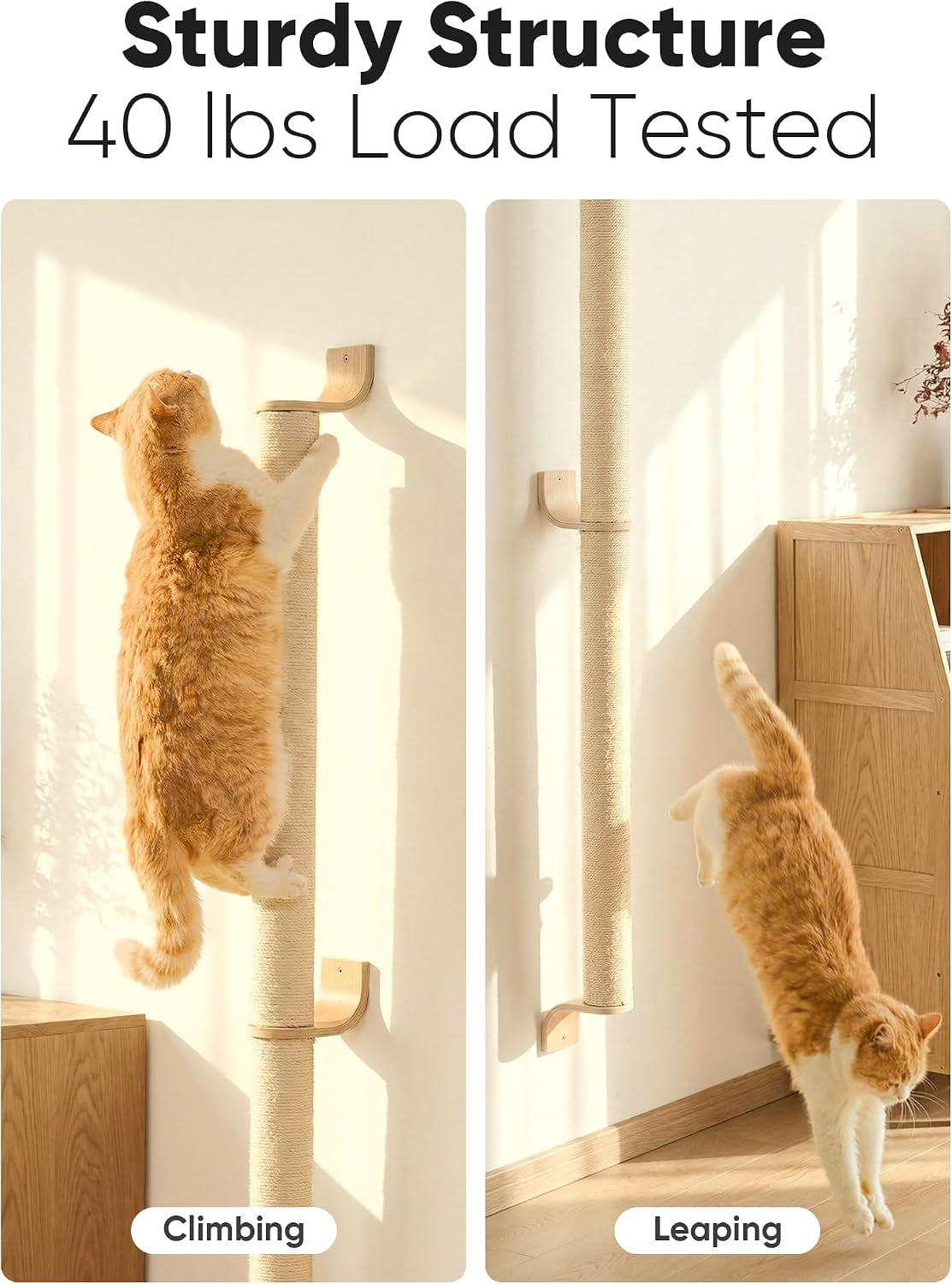 fukumaru-cat-wall-scratcher-60-tall-kitten-scratching-post-natural-sisal-pole-wall-mounted-climbing-tree-for-indoor-large-cats