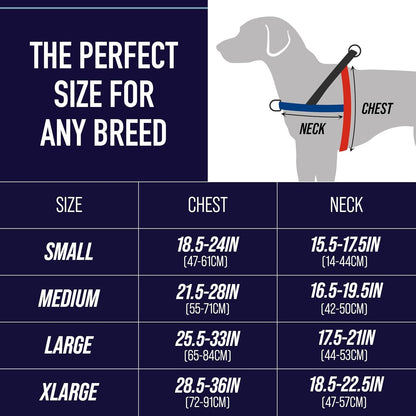 Leash Boss No Pull Dog Harness, Easy Walk for Small, Medium, and Large Pets, Reflective with Rear and Front Clip Attachment (Blanket Pattern, Medium)2