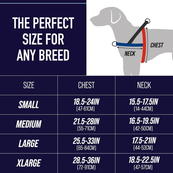 Leash Boss No Pull Dog Harness, Easy Walk for Small, Medium, and Large Pets, Reflective with Rear and Front Clip Attachment (Blanket Pattern, Medium)2