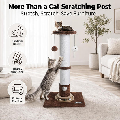 35-Inch Tall Cat Scratching Post, Stable Base for Large Cats, Brown | Heavy-Duty, Soft Natural Cotton Rope Cat Scratcher, Interactive Cat Toys, Wooden Ball Track, for Kittens and Indoor Cats3