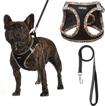 AMTOR Small Dog Harness with Leash Set, No Escape Easy Walk Puppy Harnesses for Training Walking, Step-In Reflective Soft Dogs Vest for XS S Medium Extra-Small Large Sized Dog(Green,S)21