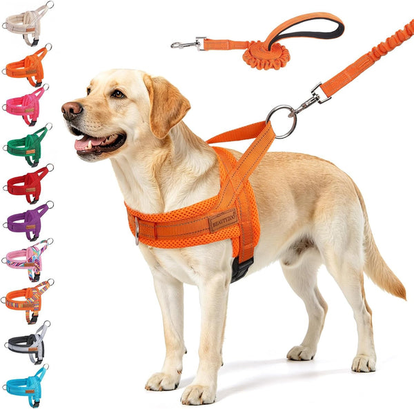 BEAUTYZOO Dog Harness No Pull, Quick Fit Dog Harness and Leash Set, Escape Proof Vest Harness with Soft Handle, Reflective Breathable Mesh Padding Harness for Medium Size Dog Training Walking, Beige M37
