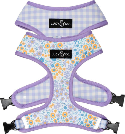 Lucy & Co. Reversible Dog Harness - Water-Repellent Neoprene, Dual-Print Design, Easy Swap Style, Adjustable Comfort Fit - Take a Bow Reversible Harness - Small18