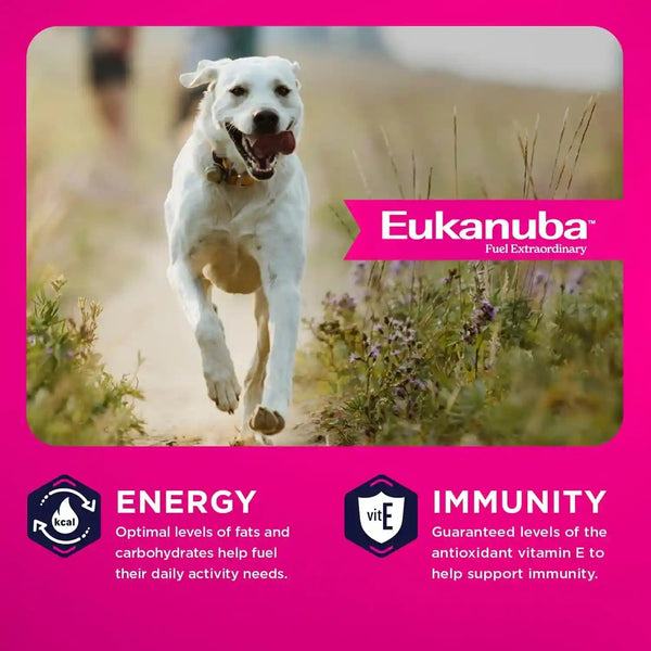 Eukanuba Adult Large Breed Dry Dog Food, 40 Lb Bag6
